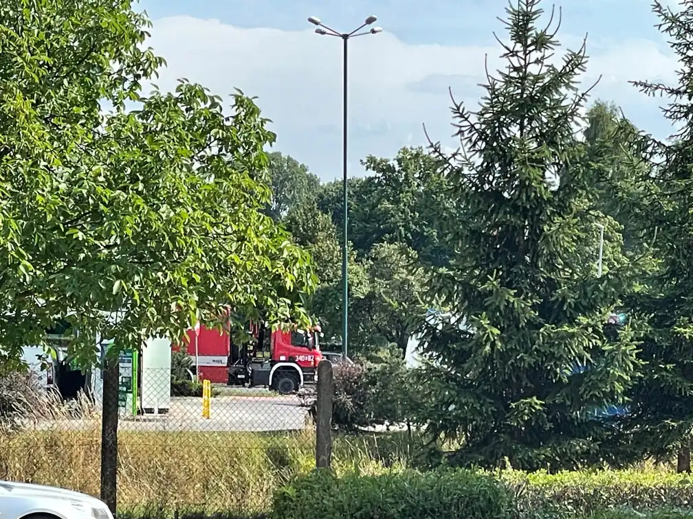 Dwóch strażaków z KM PSP Nowy Sącz wyjechało do Grecji. Pomogą gasić pożary