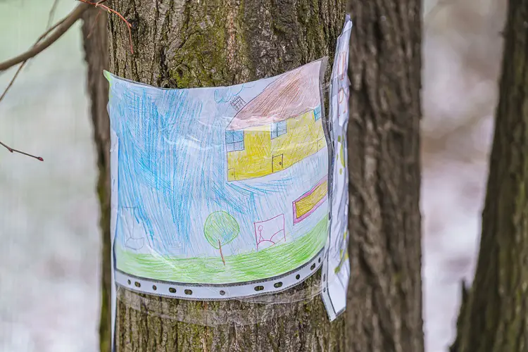 Mieszkańcy osiedla Nawojowska walczą o park. Nie chcą wycinki ponad stu drzew