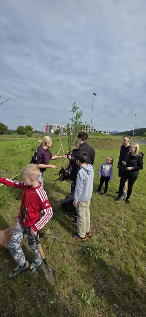 Zasadzili drzewa, posiali przyszłość. Zielona akcja w Starym Sączu