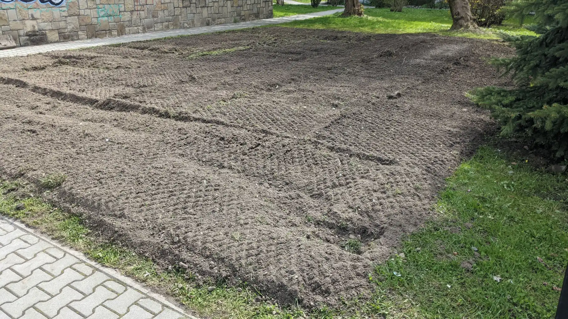 Nowy Sącz: Na Osiedlu Kochanowskiego powstała pierwsza łąka kwietna