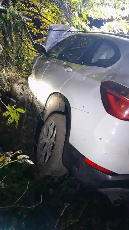 Wypadek w Łazach Biegonickich. Samochód osobowy wypadł z drogi, uderzył w drzewo i wylądował w przydrożnym rowie