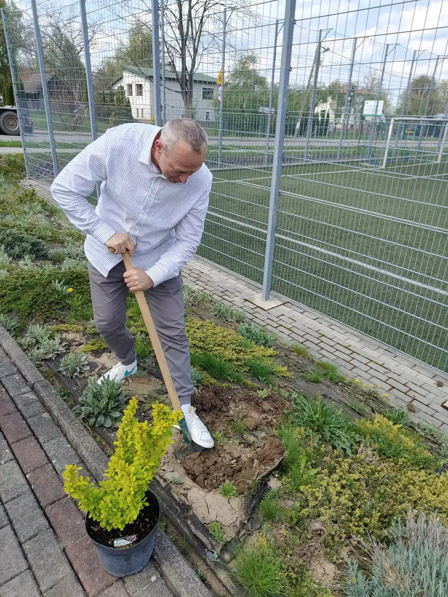 Krzewy dla ziemi. Uczniowie Krygu w ekologicznej akcji