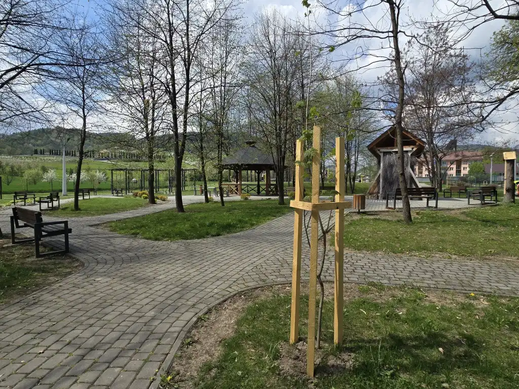 Zielona rewolucja w Parku Podworskim w Łukowicy