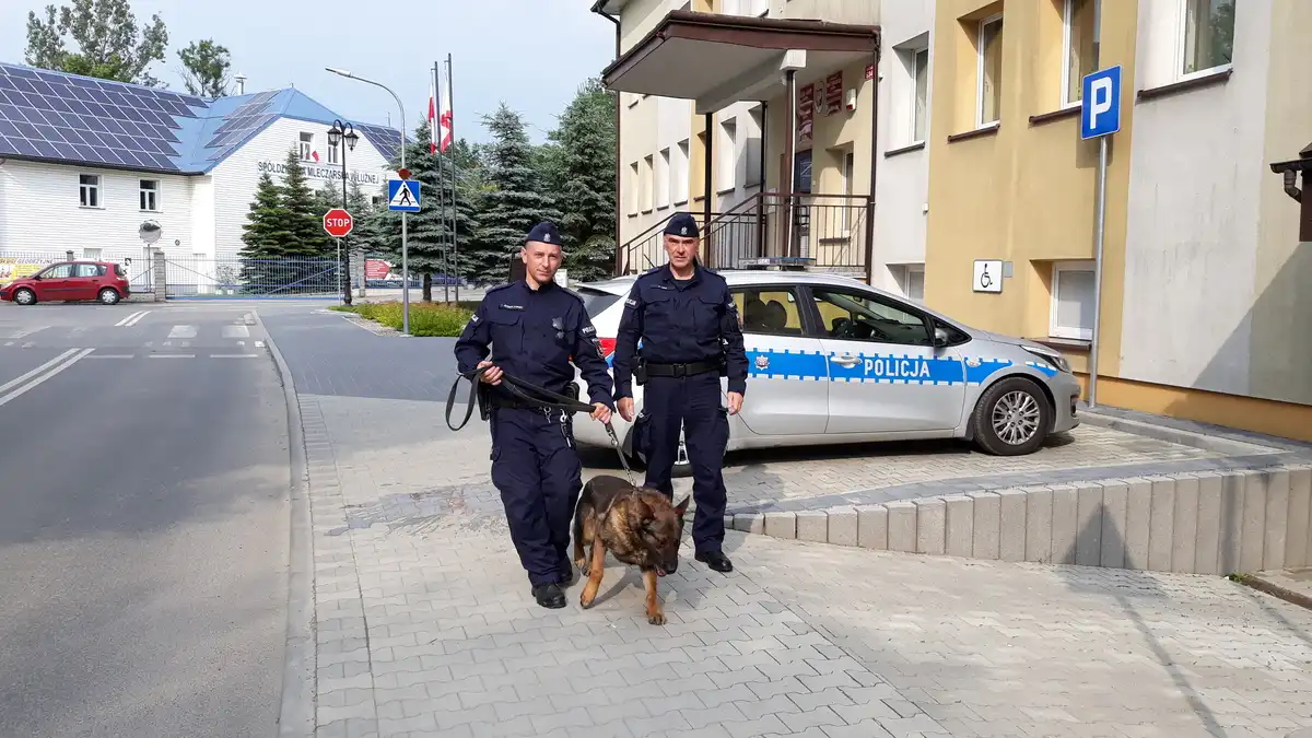 Policyjny pies Motor odnalazł zaginioną kobietę