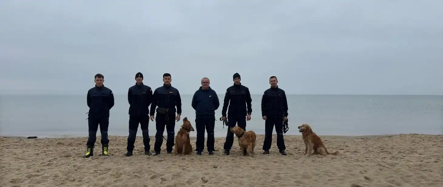 Czworonożni bohaterowie na gruzowiskach. Ćwiczenia ratownicze w Gdańsku