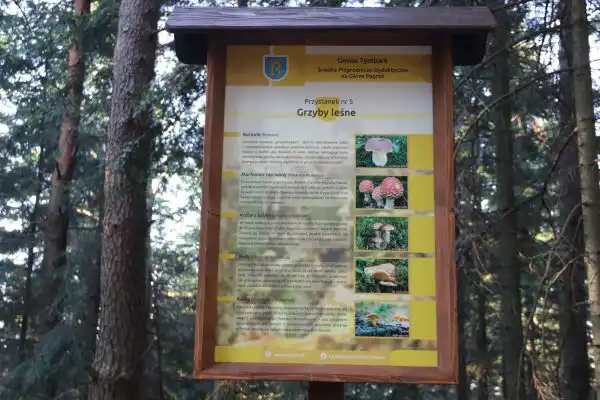 W powiecie limanowskim powstaje nowa ścieżka przyrodnicza