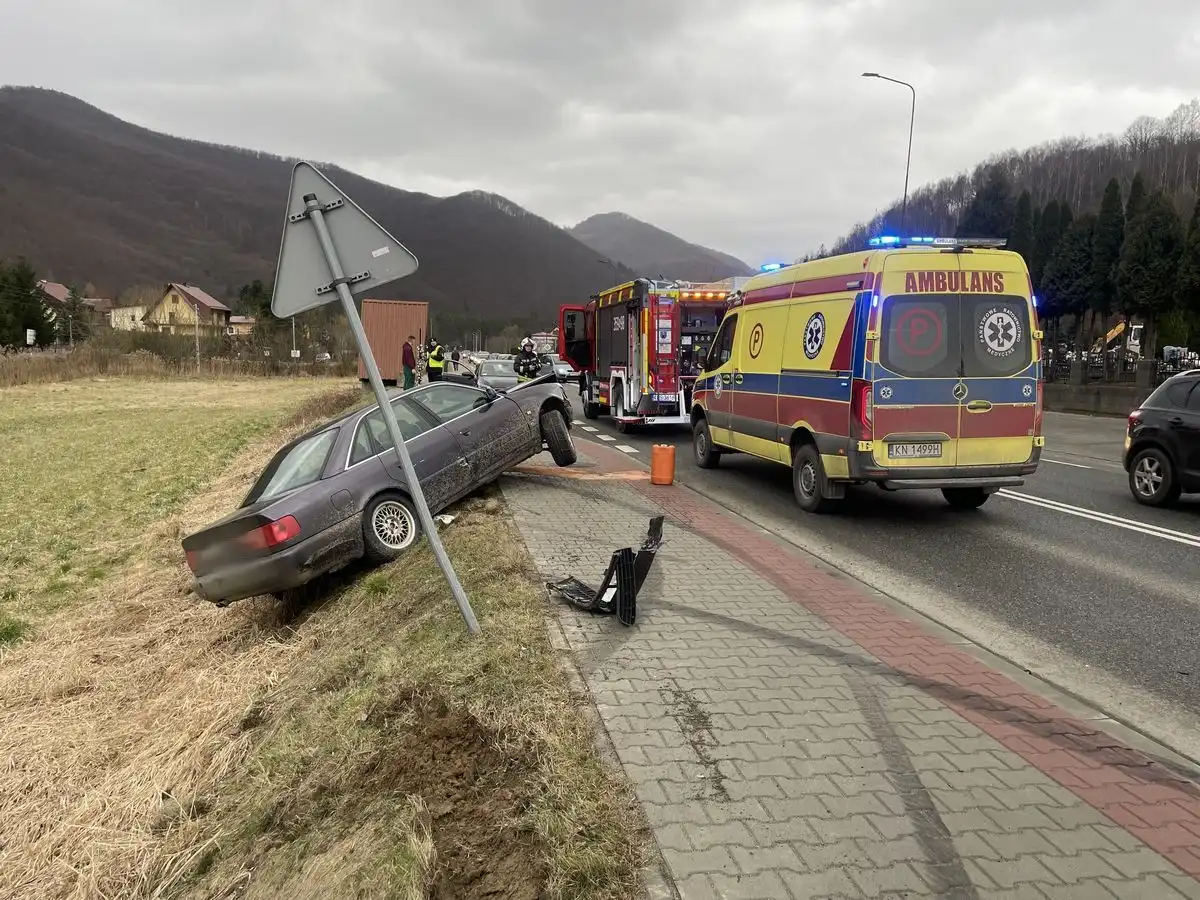 W Rytrze samochód osobowy wypadł z drogi