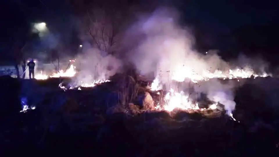 Jednego dnia aż 9 razy. Strażacy walczyli z pożarami traw na Sądecczyźnie