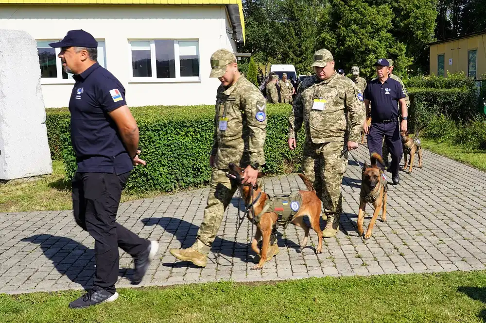 Na lotnisku w Łososinie Dolnej przekazano kolejną grupę wyszkolonych psów saperskich które pojadą na Ukrainę