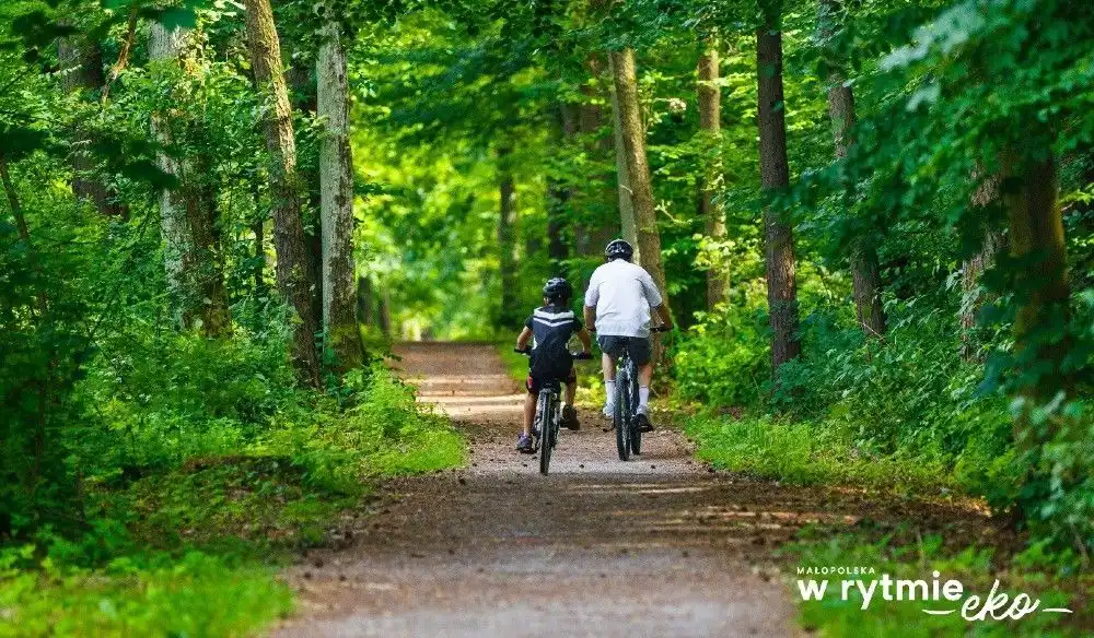 Małopolska jest prawdziwym rajem dla miłośników turystyki rowerowej