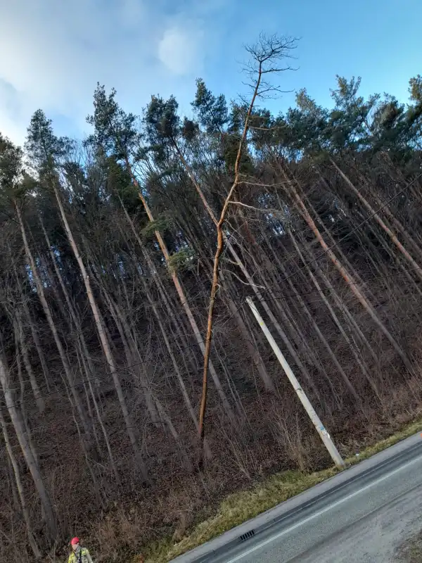 Wichura na Sądecczyźnie. Kilkadziesiąt interwencji strażaków