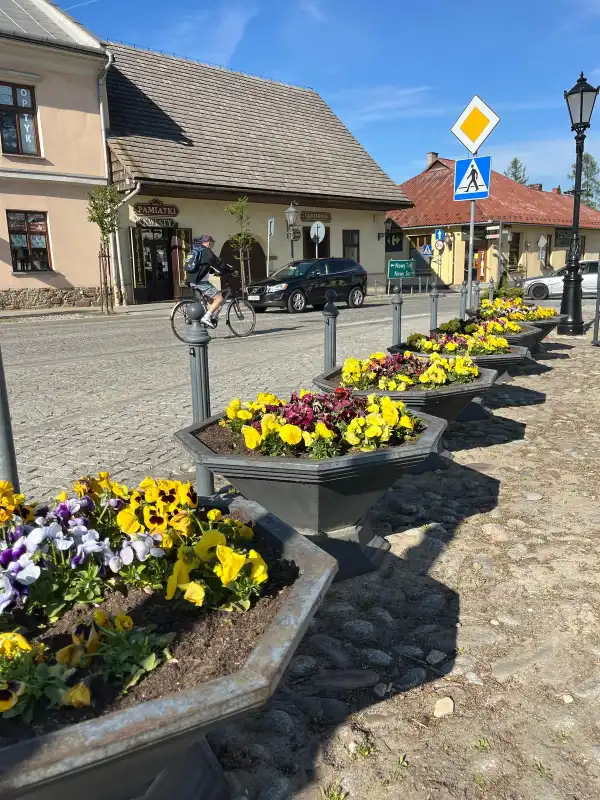 Wiosna w Starym Sączu. Miasto rozkwita