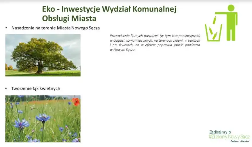 Urząd Miasta Nowego Sącza uruchamia program Zadbajmy o #zielonyNowySacz