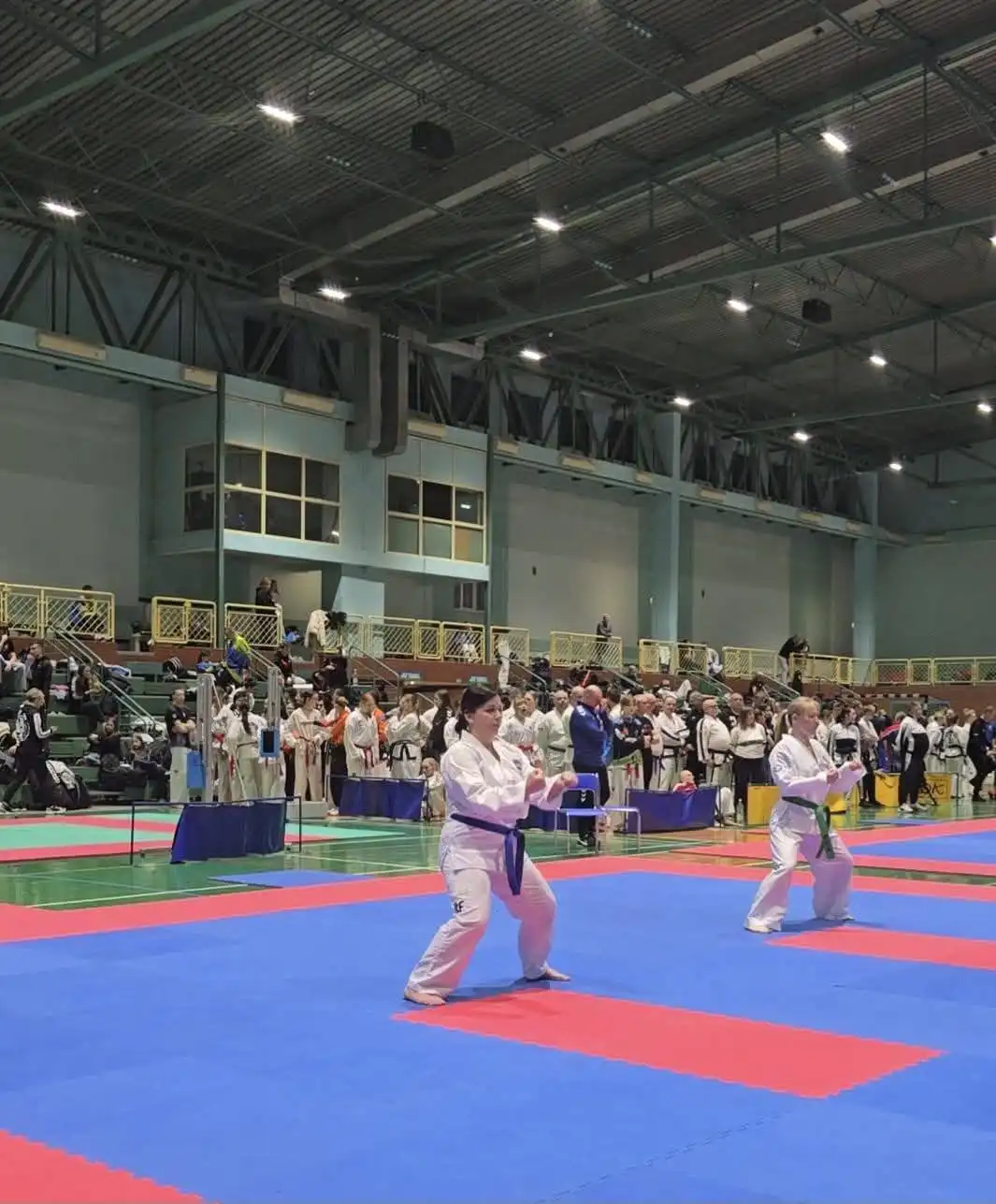 Taekwon-do na najwyższym poziomie. Mistrzowie Polski i Europy zawalczą w Marcinkowicach