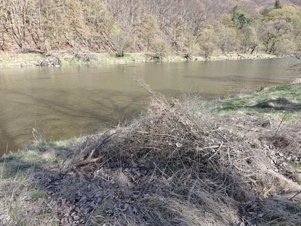 Nie wyrzucaj śmieci nad Poprad! Gmina Rytro apeluje do mieszkańców