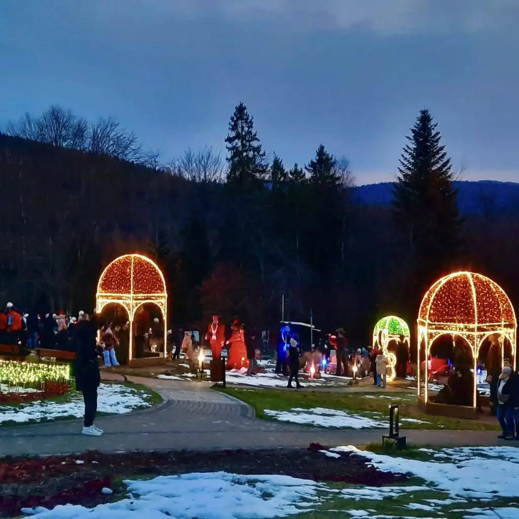 Nowe świetlne rzeźby na Polanie Muzyki i Światła. Krynica odsłania kolejną atrakcję