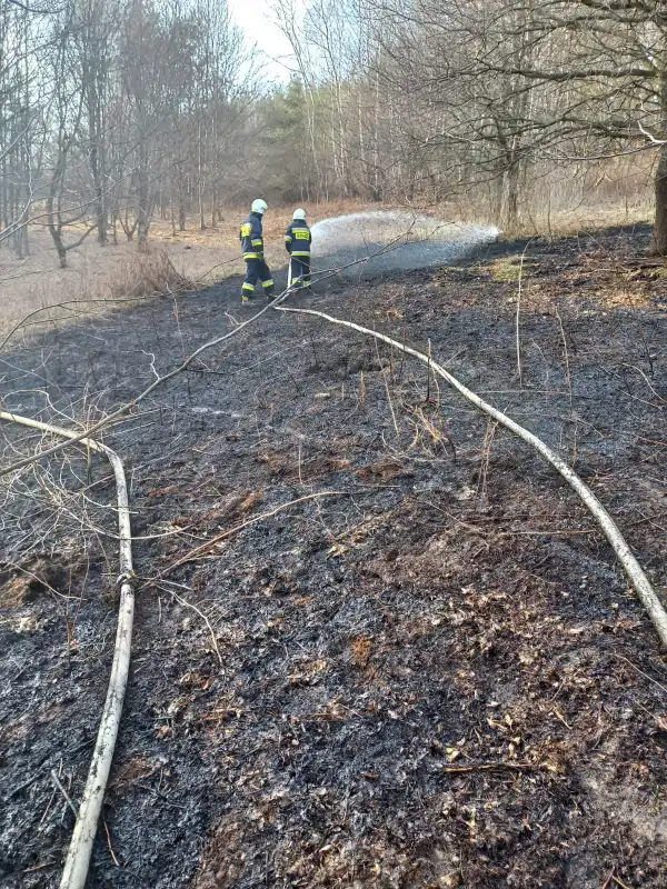 Płoną suche trawy na Sądecczyźnie