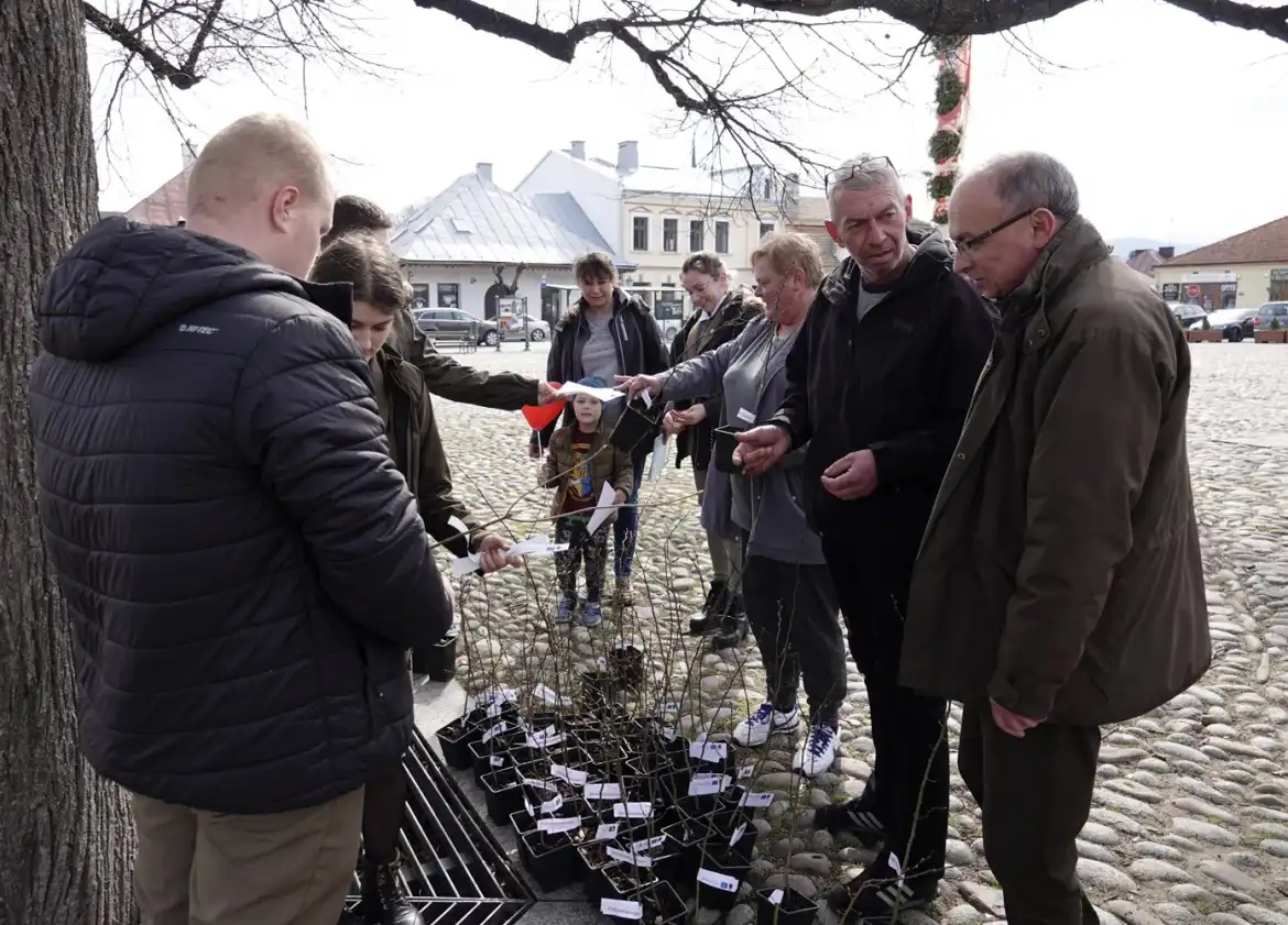 I Małopolski Dzień dla Klimatu na starosądeckim rynku: Sadzonki drzewek rozeszły się jak ciepłe bułeczki