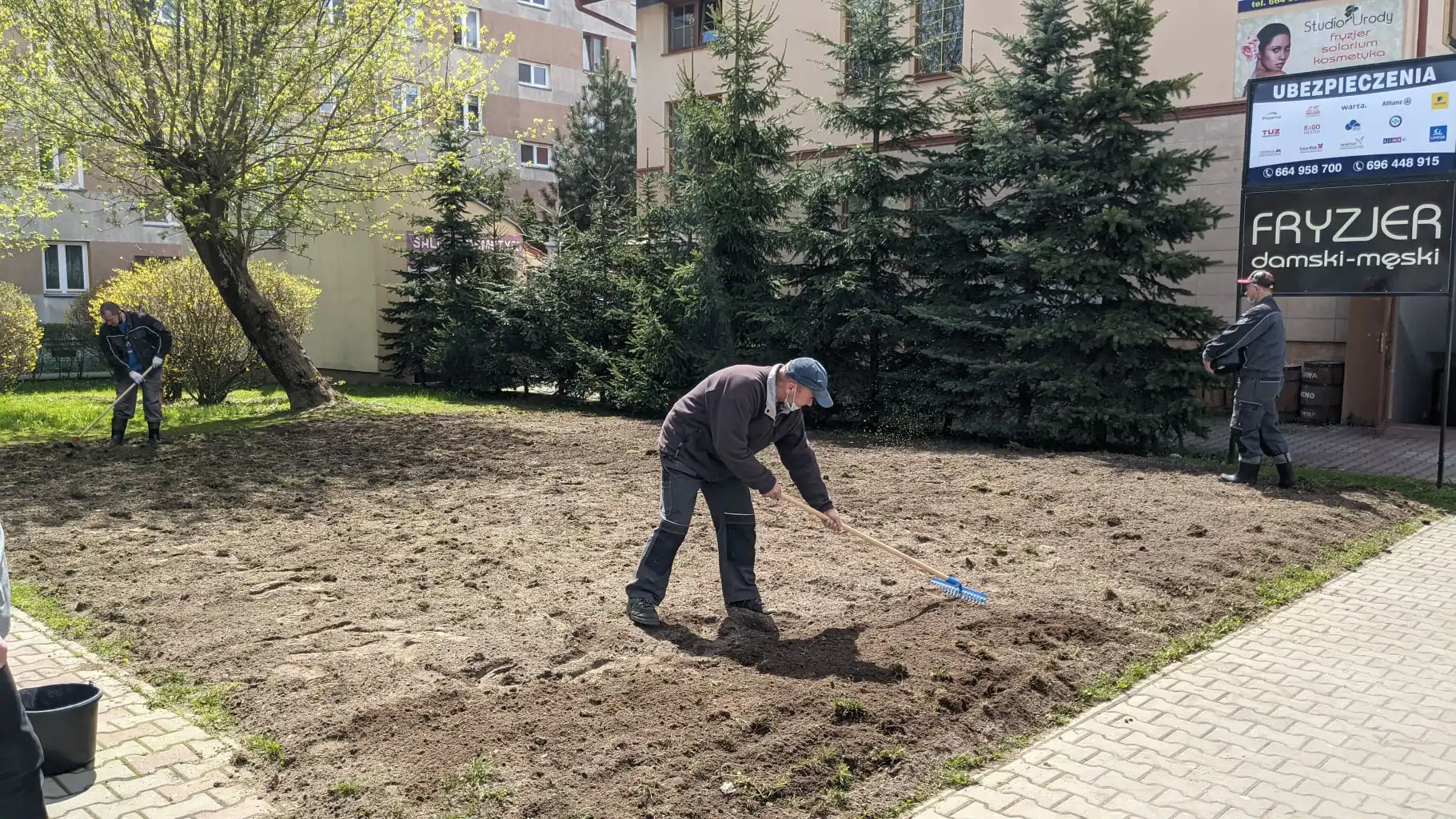 Nowy Sącz: Na Osiedlu Kochanowskiego powstała pierwsza łąka kwietna