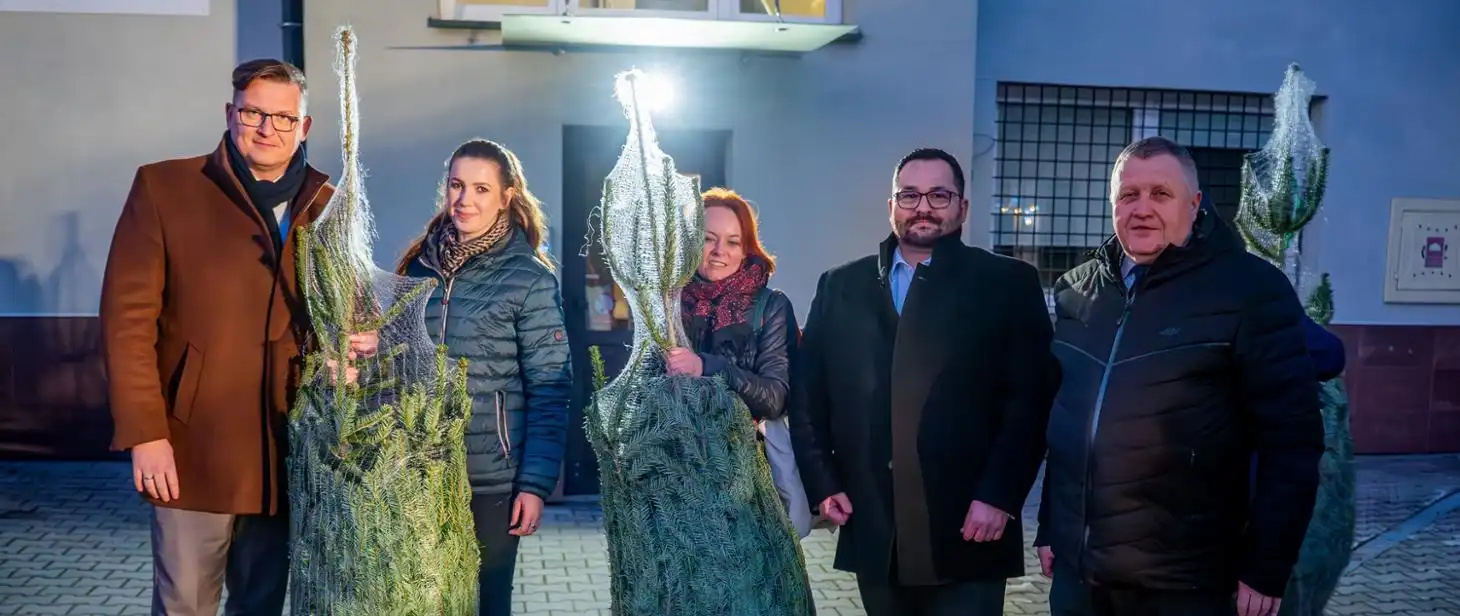 Świąteczny rekord w Gorlicach. Choinki zniknęły w osiem minut