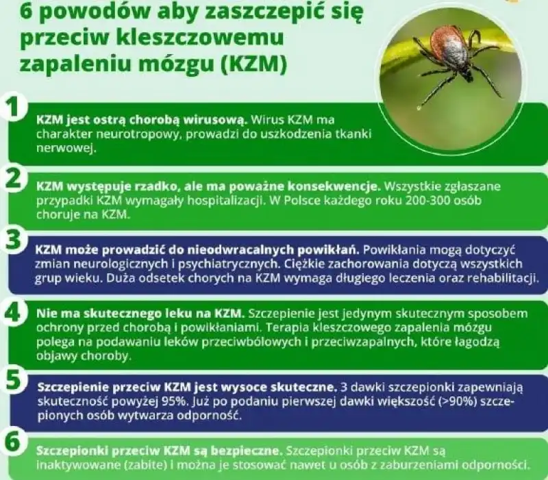 Bezpłatne szczepienia przeciw kleszczowemu zapaleniu mózgu w Nowym Sączu