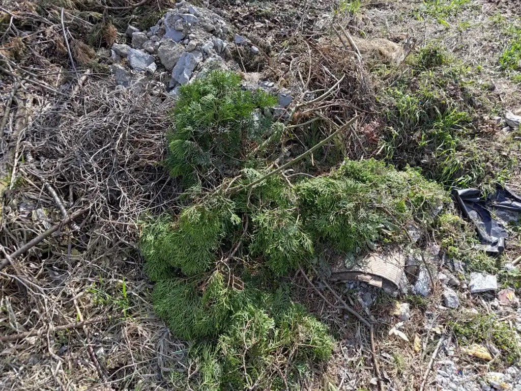 Nie wyrzucaj śmieci nad Poprad! Gmina Rytro apeluje do mieszkańców