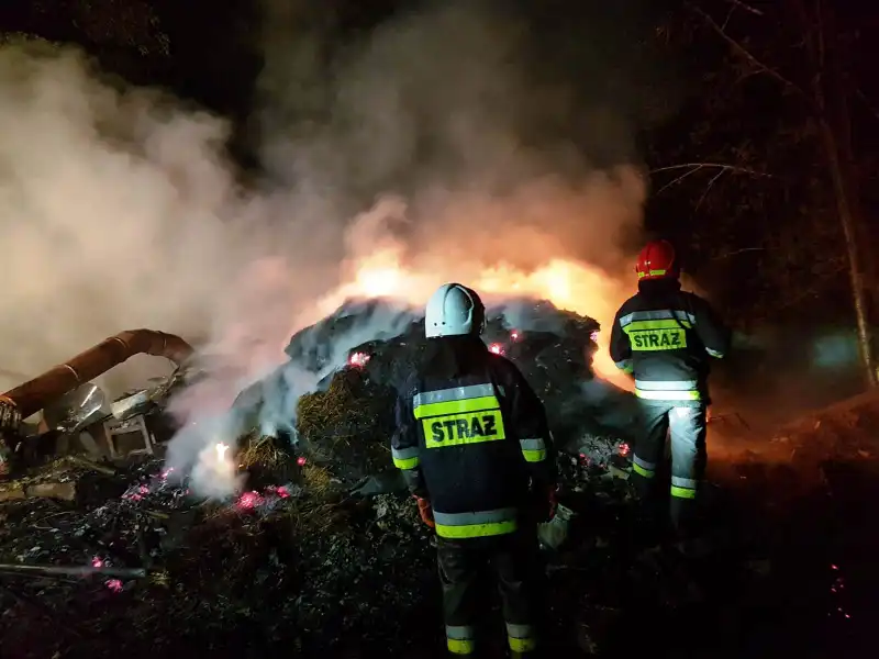 Łomnica-Zdrój: Zwierzęta hodowlane zginęły w pożarze budynku gospodarczego. Dach zawalił się do środka