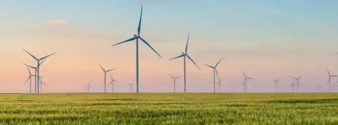 Sieć Lidl Polska przeszła w 100% na zieloną energię!
