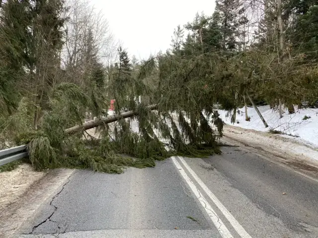 Uwaga! Będzie wietrznie
