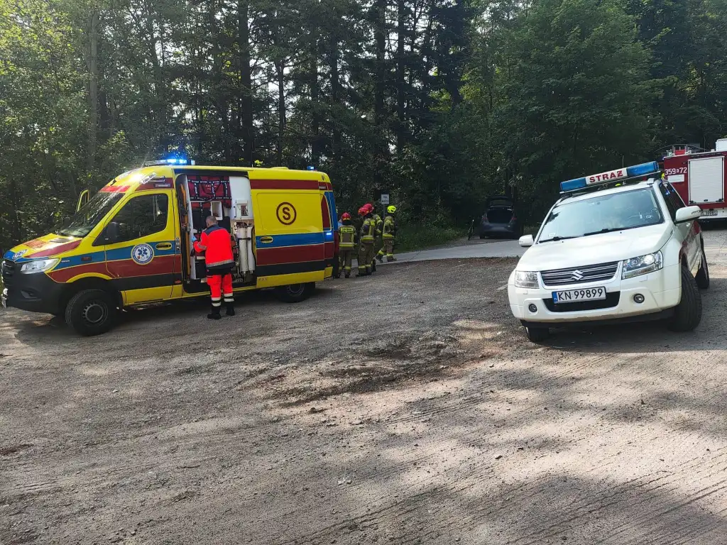 Berest: samochód osobowy zderzył się z rowerem