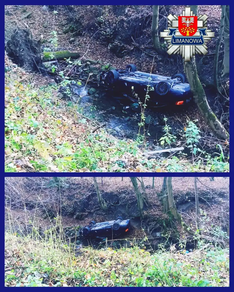 Wilkowisko: Audi w korycie rzeki, kierowca trafił do szpitala