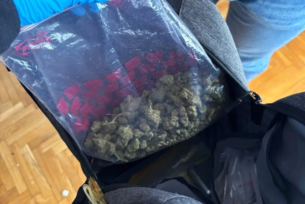Narkotyki w płatkach śniadaniowych. Sądeccy policjanci rozbili dilerkę