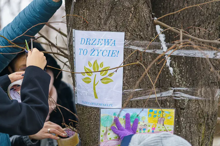 Mieszkańcy osiedla Nawojowska walczą o park. Nie chcą wycinki ponad stu drzew