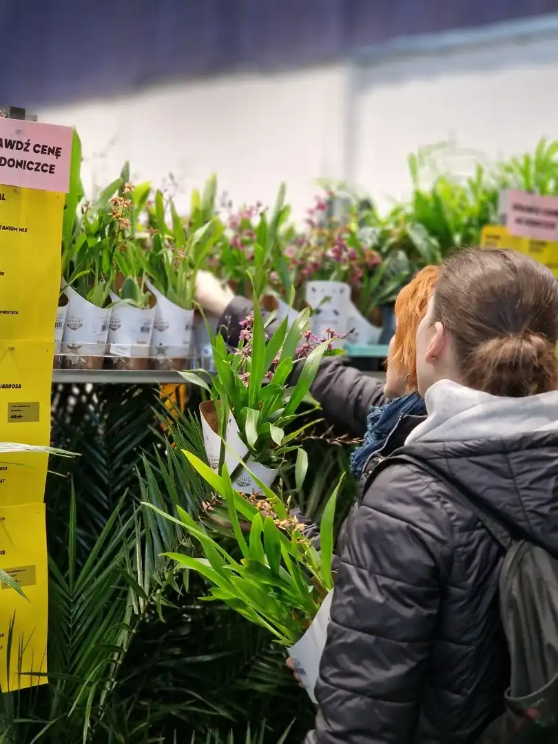 Festiwal Roślin w Krakowie. Wyjątkowe wydarzenie dla wszystkich miłośników roślin