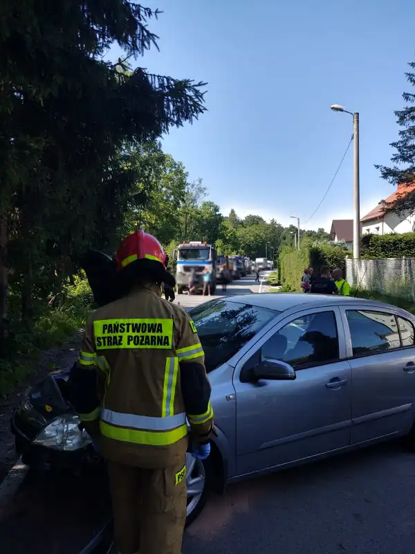 Ptaszkowa: stracił kontrolę nad autem i uderzył w drzewo