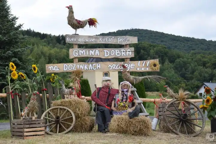 Święto plonów w Powiecie Limanowskim. Radość, tradycja i wspólne świętowanie