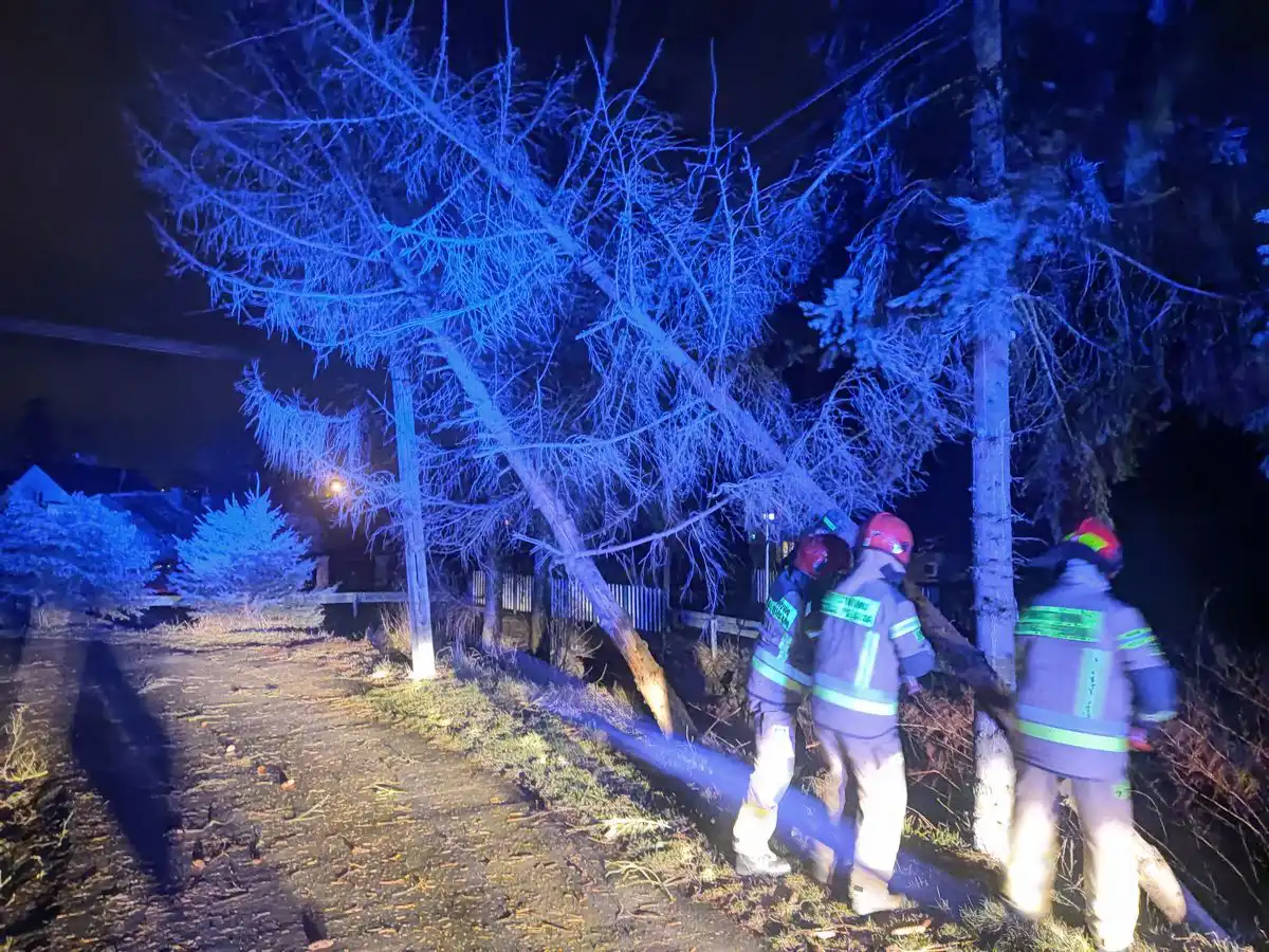 Wietrzna niedziela na Sądecczyźnie  Strażacy usuwali skutki silnego wiatru