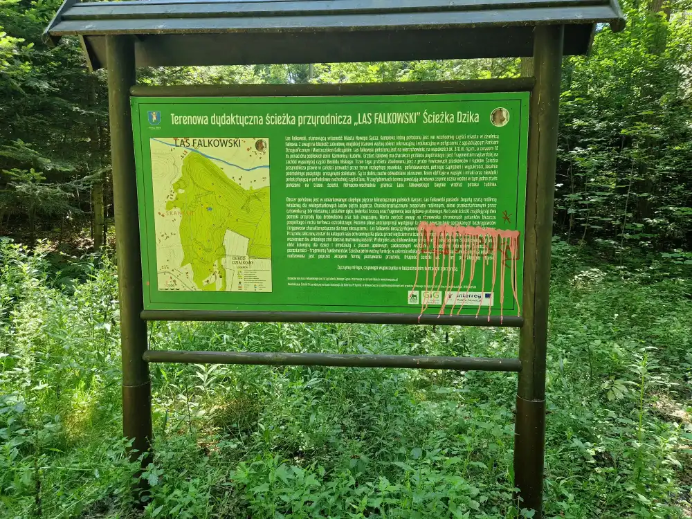Rewitalizacja Lasku Falkowskiego coraz bliżej. Zniszczona ścieżka przyrodnicza odzyska blask