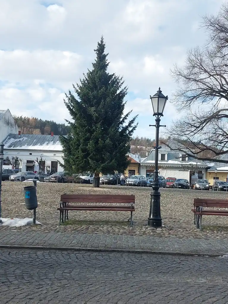 Stary Sącz przygotowuje miasto do bożonarodzeniowej magii