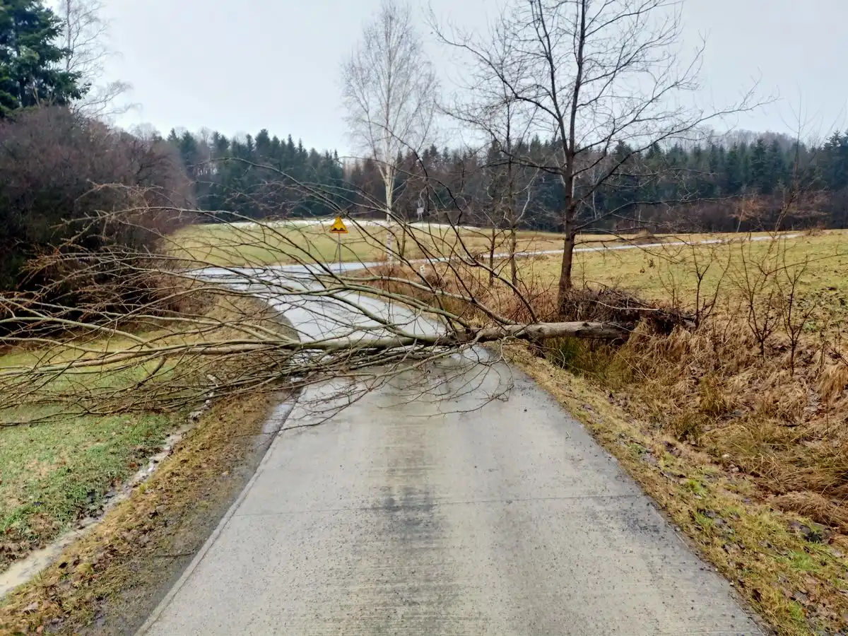 Wichura na Sądecczyźnie. Kilkadziesiąt interwencji strażaków