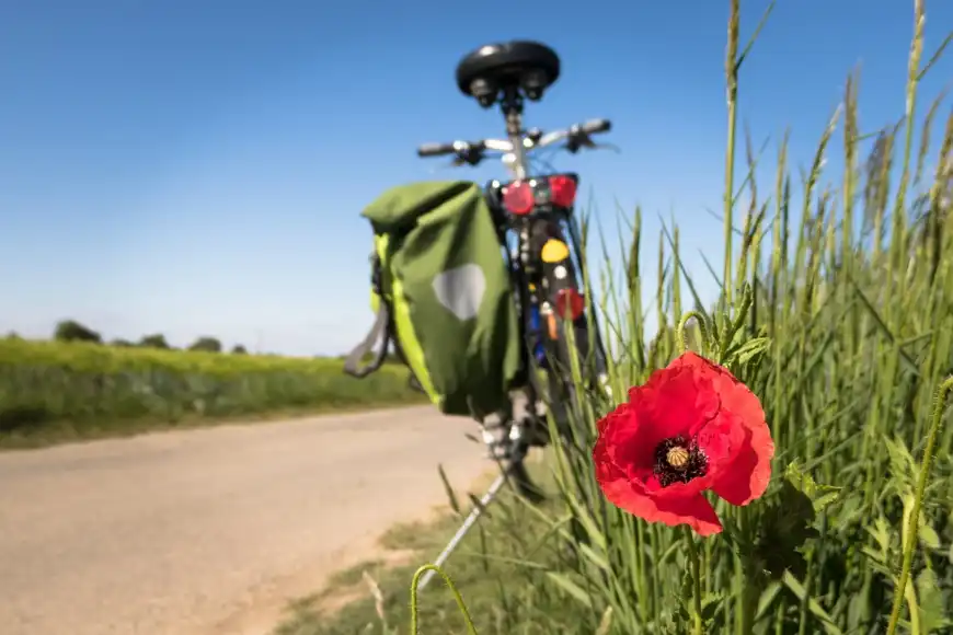 Trasa rowerowa w Świniarsku nareszcie połączy się z VeloDunajec