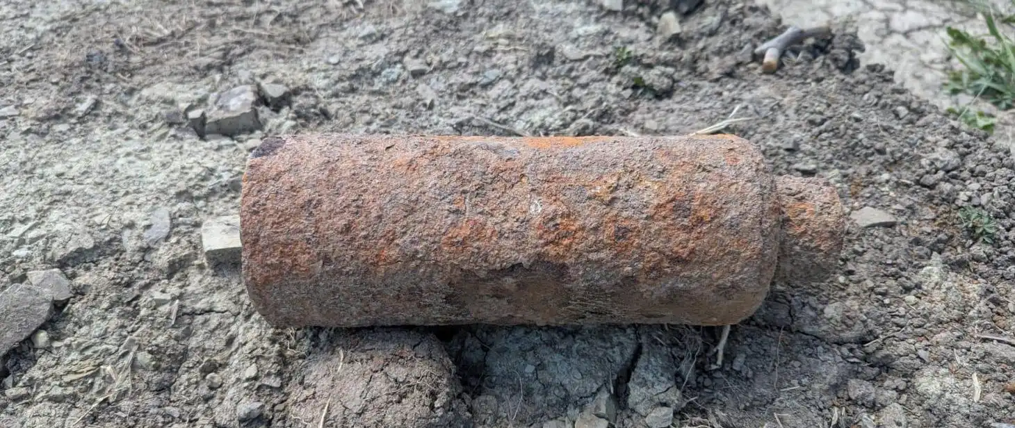 Grupa ratownictwa chemiczno-ekologicznego interweniowała w Chełmcu na ul. Leśnej