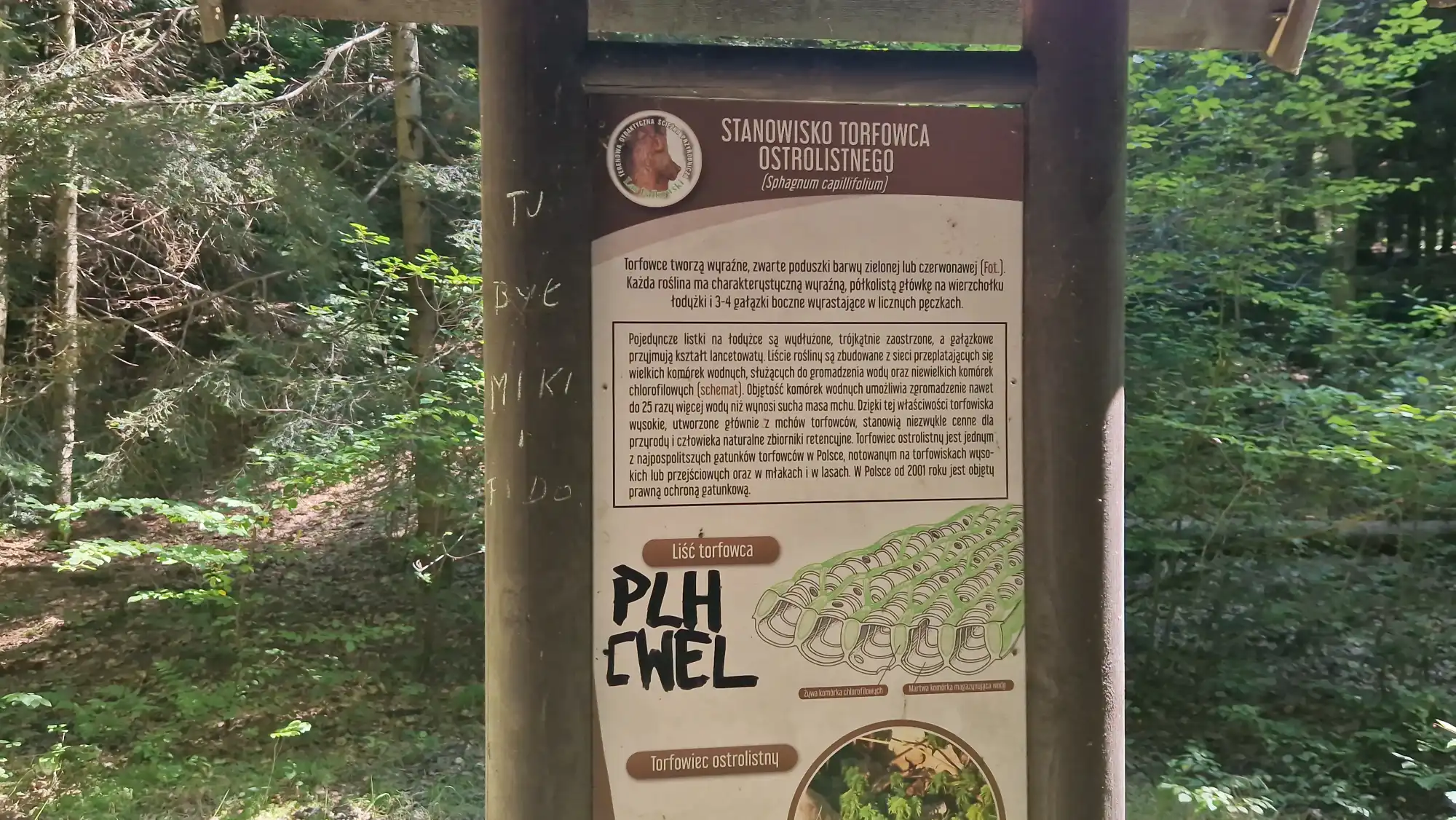 Wandale niszczą Lasek Falkowski. Zniszczenia tablic informacyjnych i mostku