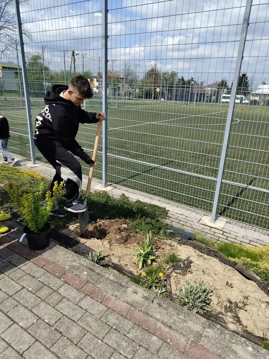 Krzewy dla ziemi. Uczniowie Krygu w ekologicznej akcji