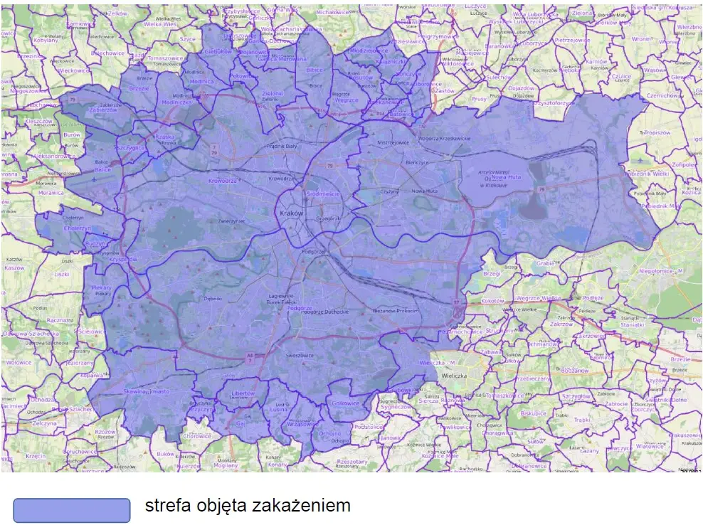 Ptasia grypa wróciła do Małopolski. Pierwsze ognisko w Krakowie