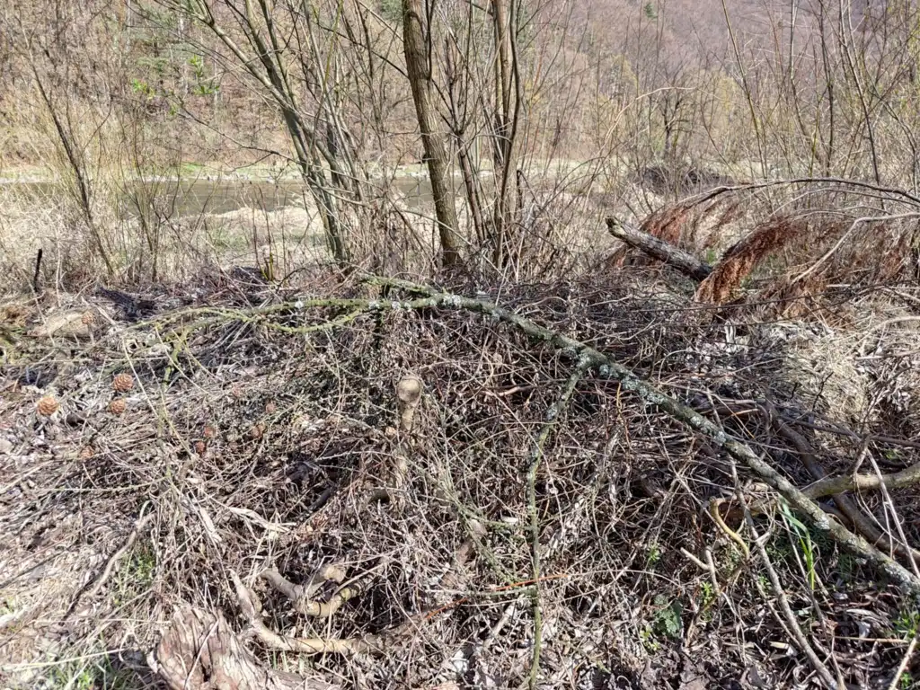 Nie wyrzucaj śmieci nad Poprad! Gmina Rytro apeluje do mieszkańców