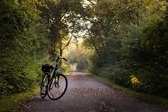 Nowe trasy rowerowe w planach. Gmina Tymbark wnioskuje o dofinansowanie