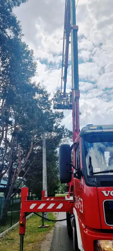 Nietypowa akcja strażaków w Barcicach