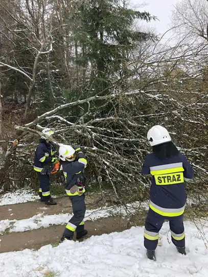 14 kwietnia strażacy usuwali skutki zimy na Sądecczyźnie. Interweniowali 70 razy