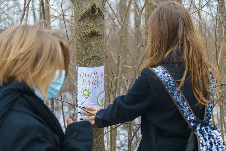 Mieszkańcy osiedla Nawojowska walczą o park. Nie chcą wycinki ponad stu drzew